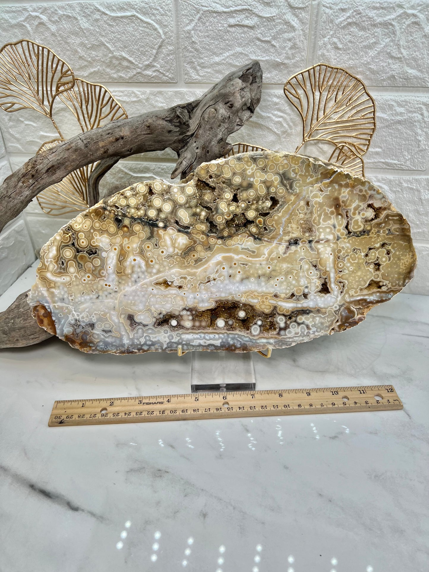AAA yellow druzy orbicular ocean jasper slab from Madagascar