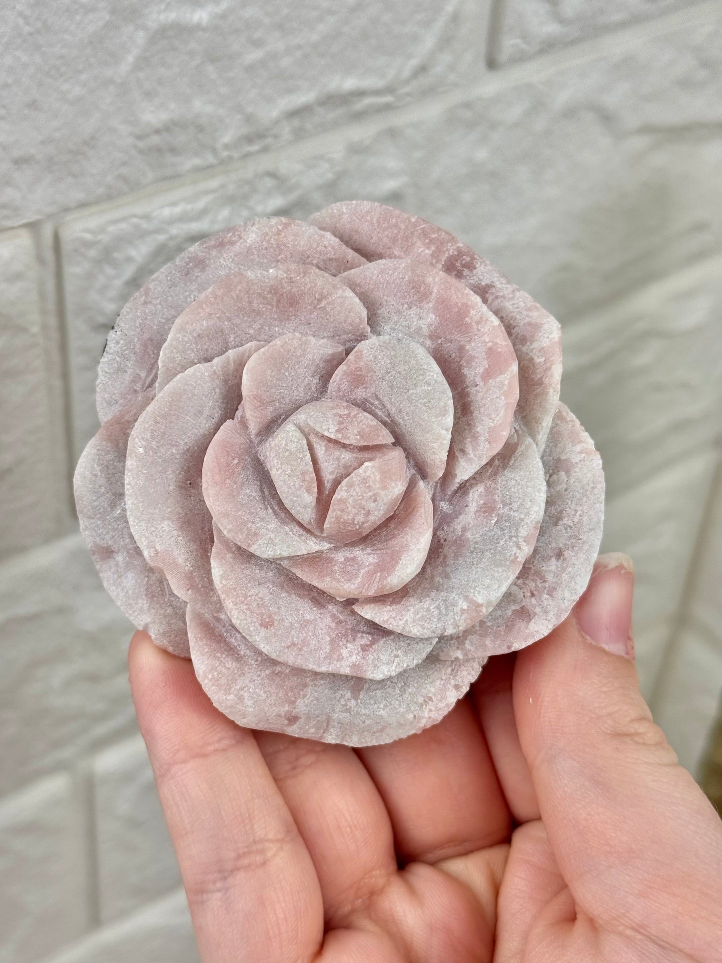 You pick! Pink opal rose’s