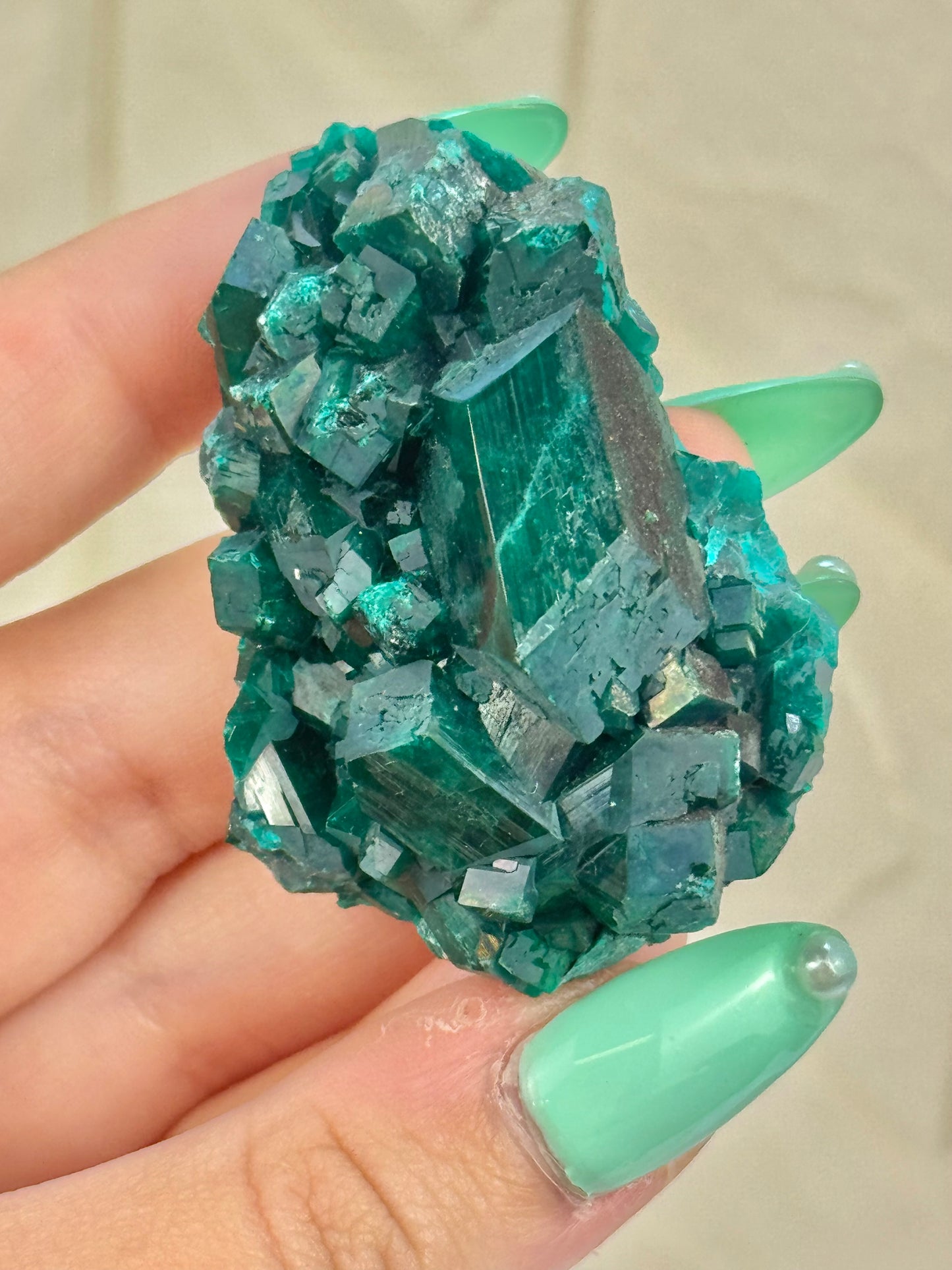You pick! Insane high-grade dioptase specimens from DRC