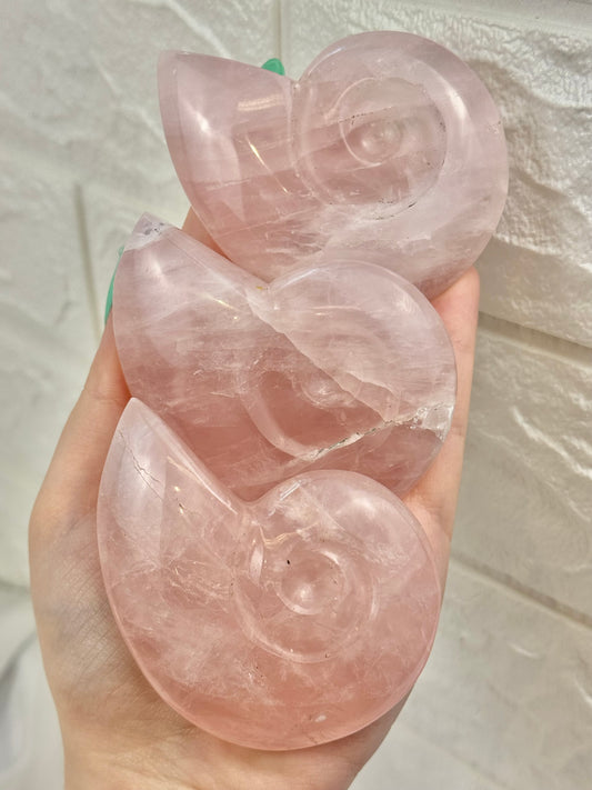 1 rose quartz Nautilus shell