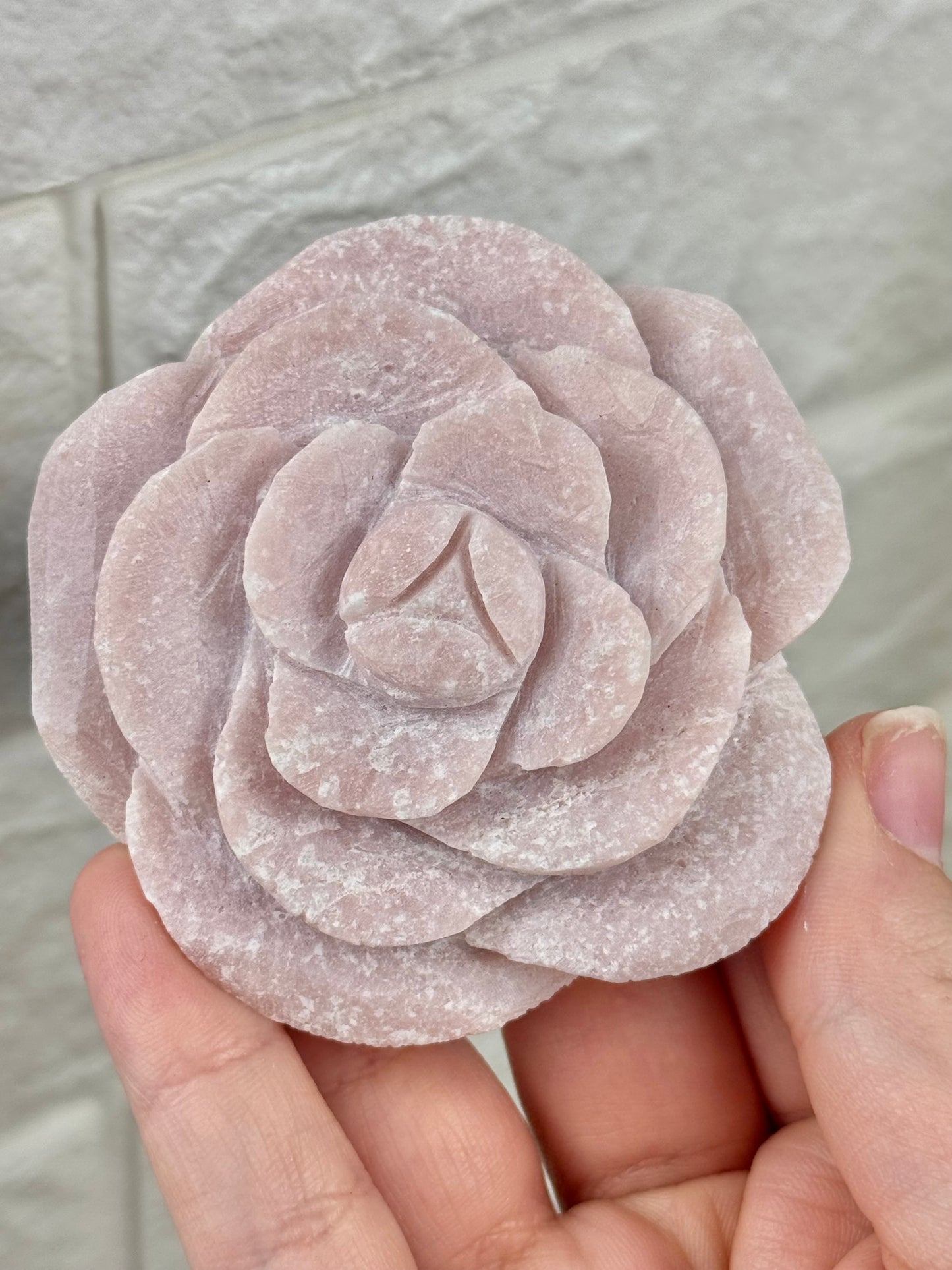 You pick! Pink opal rose’s