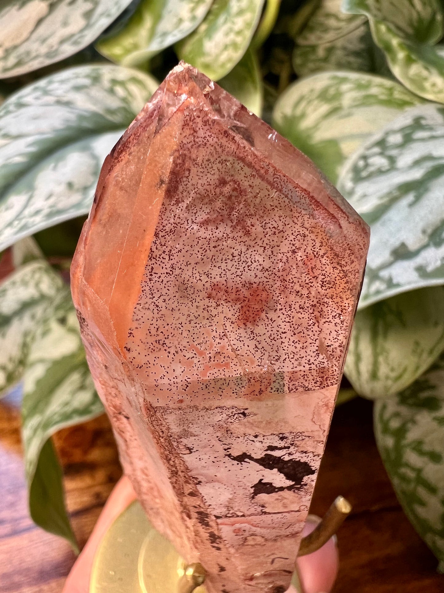 Hematite dragon quartz from Brazil P