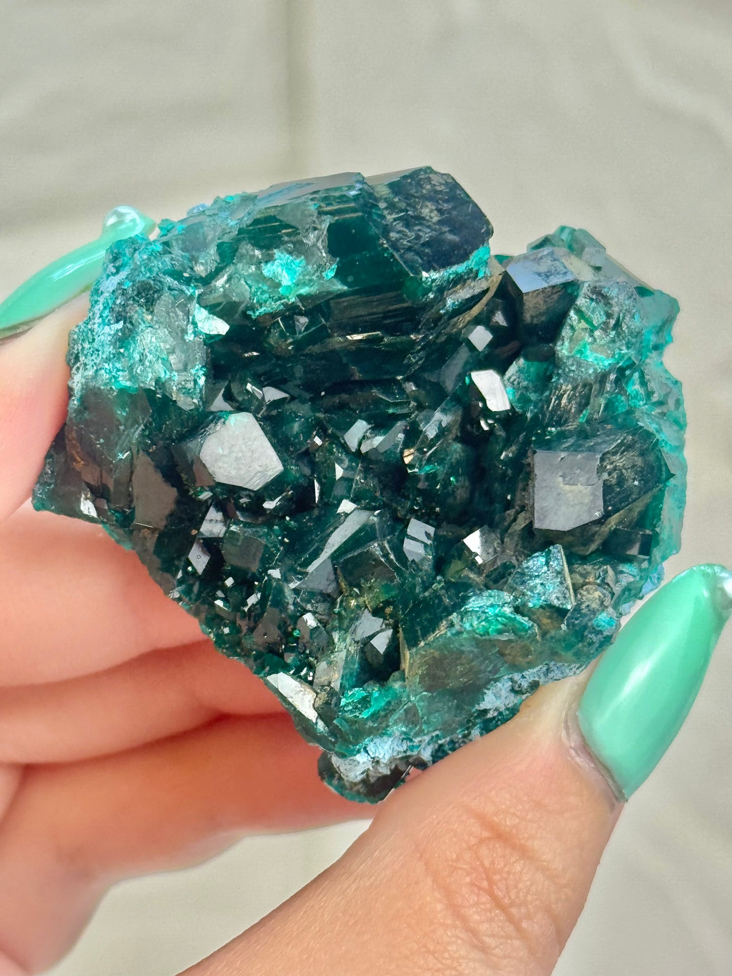 You pick! Insane high-grade dioptase specimens from DRC
