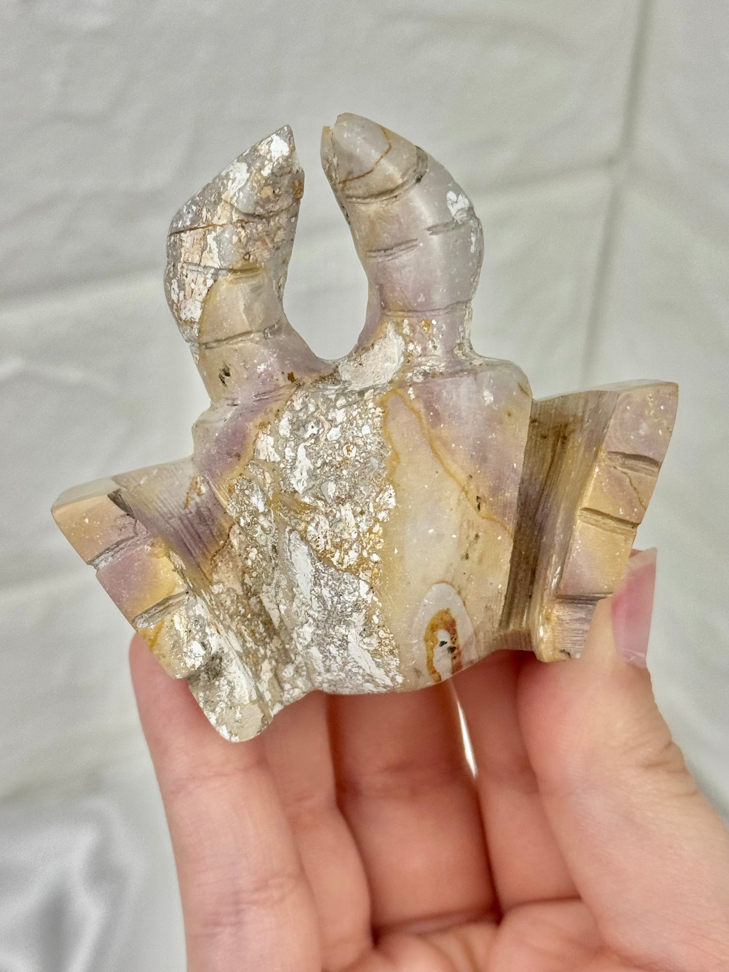 Pastel polychrome jasper crab