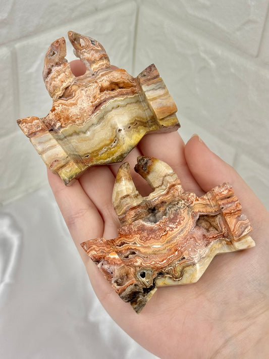 1 adorable pink crazy lace agate crab