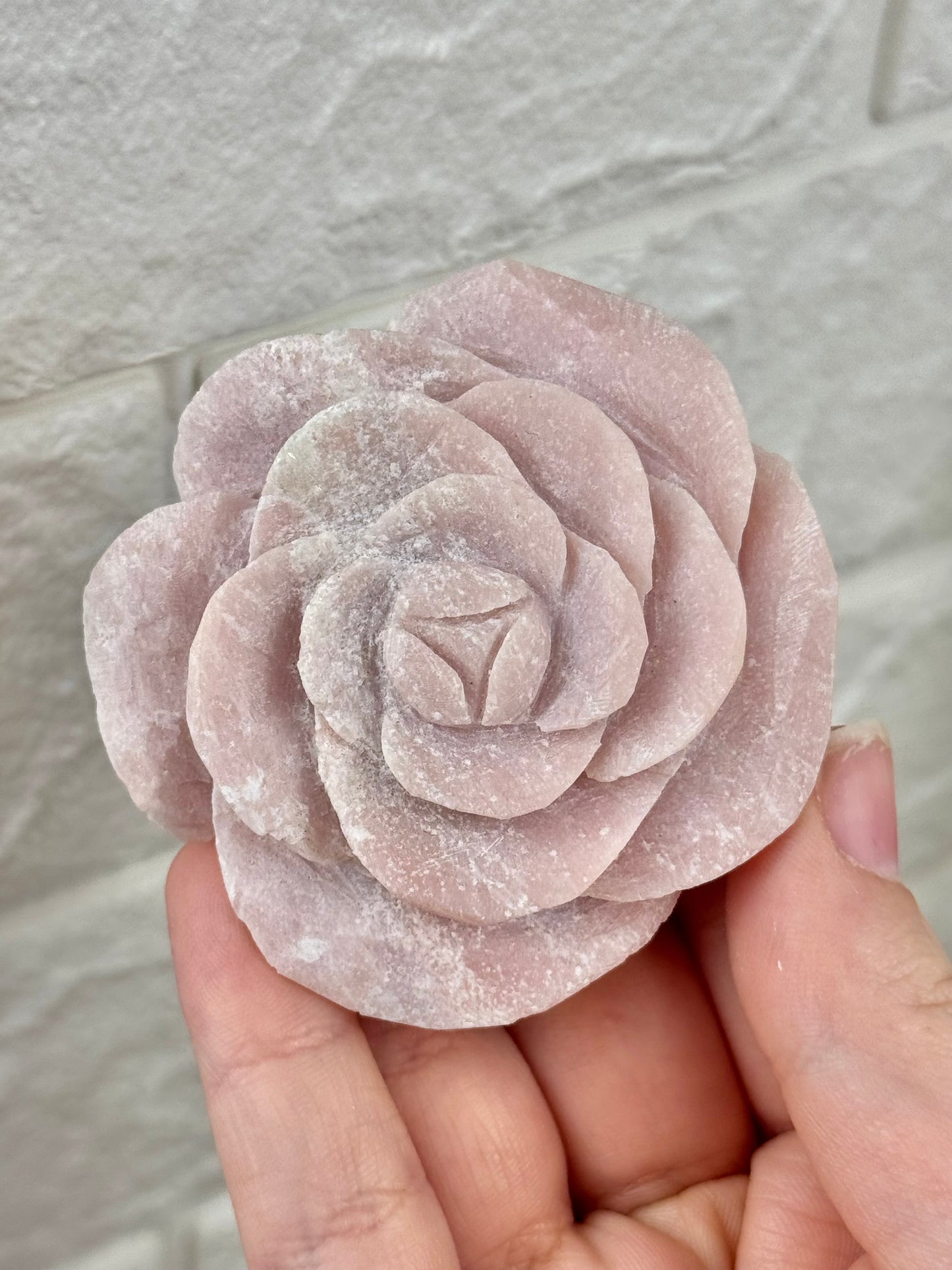 You pick! Pink opal rose’s