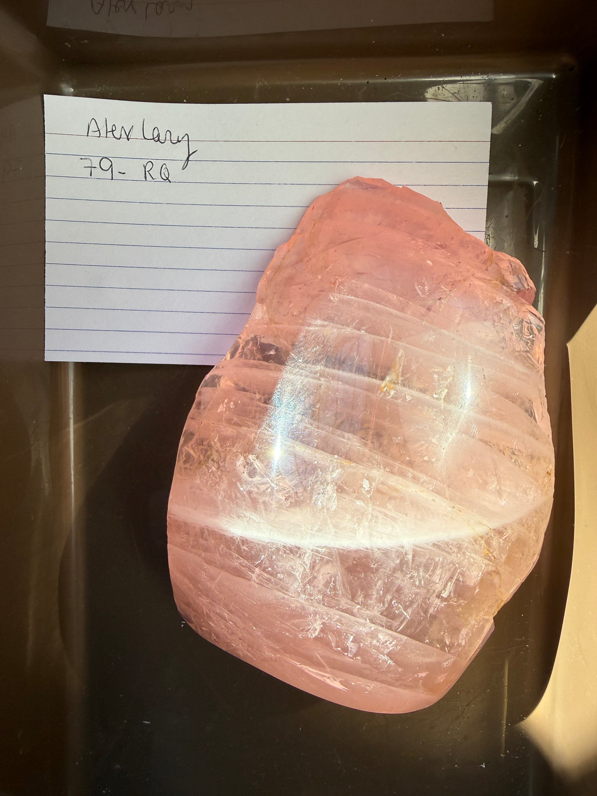 Alexlary- rose