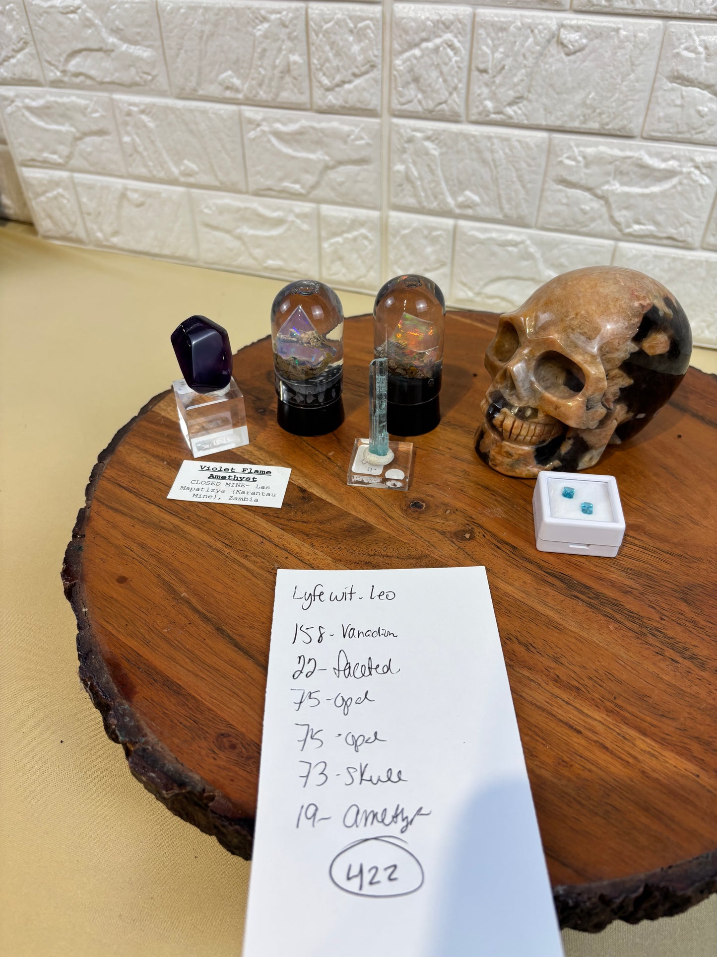 lyfewit_leo