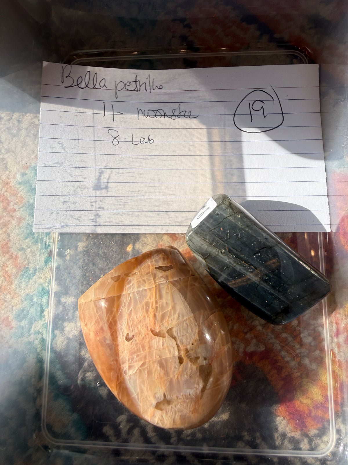 Bellapetrillo