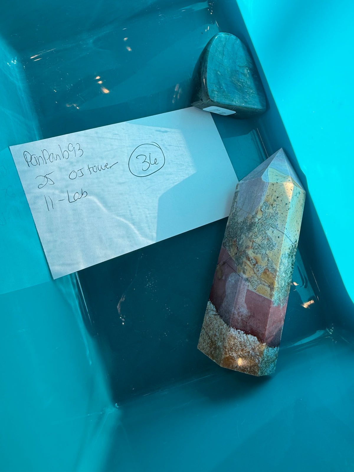 Panpan93