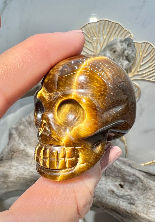 1 flashy tigers eye skull