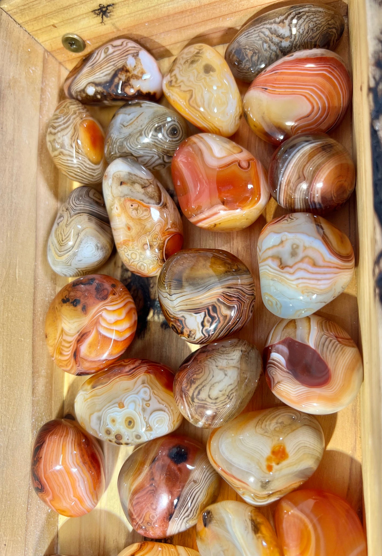 Gorgeous banded sardonyx tumble/palm MED