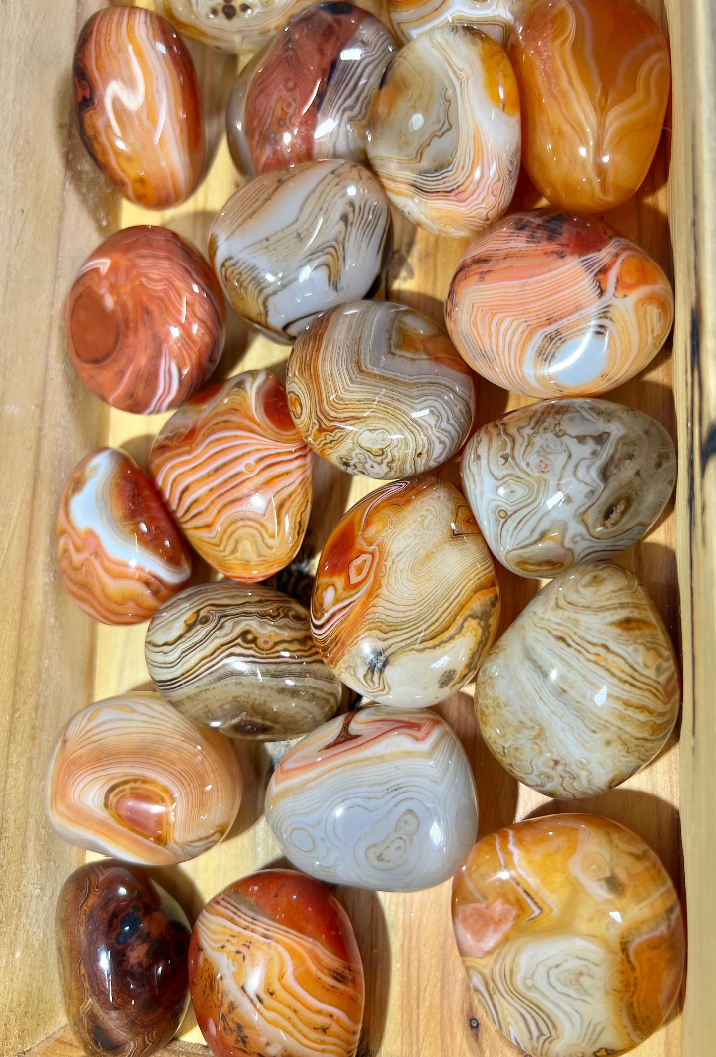 Gorgeous banded sardonyx tumble/palm MED