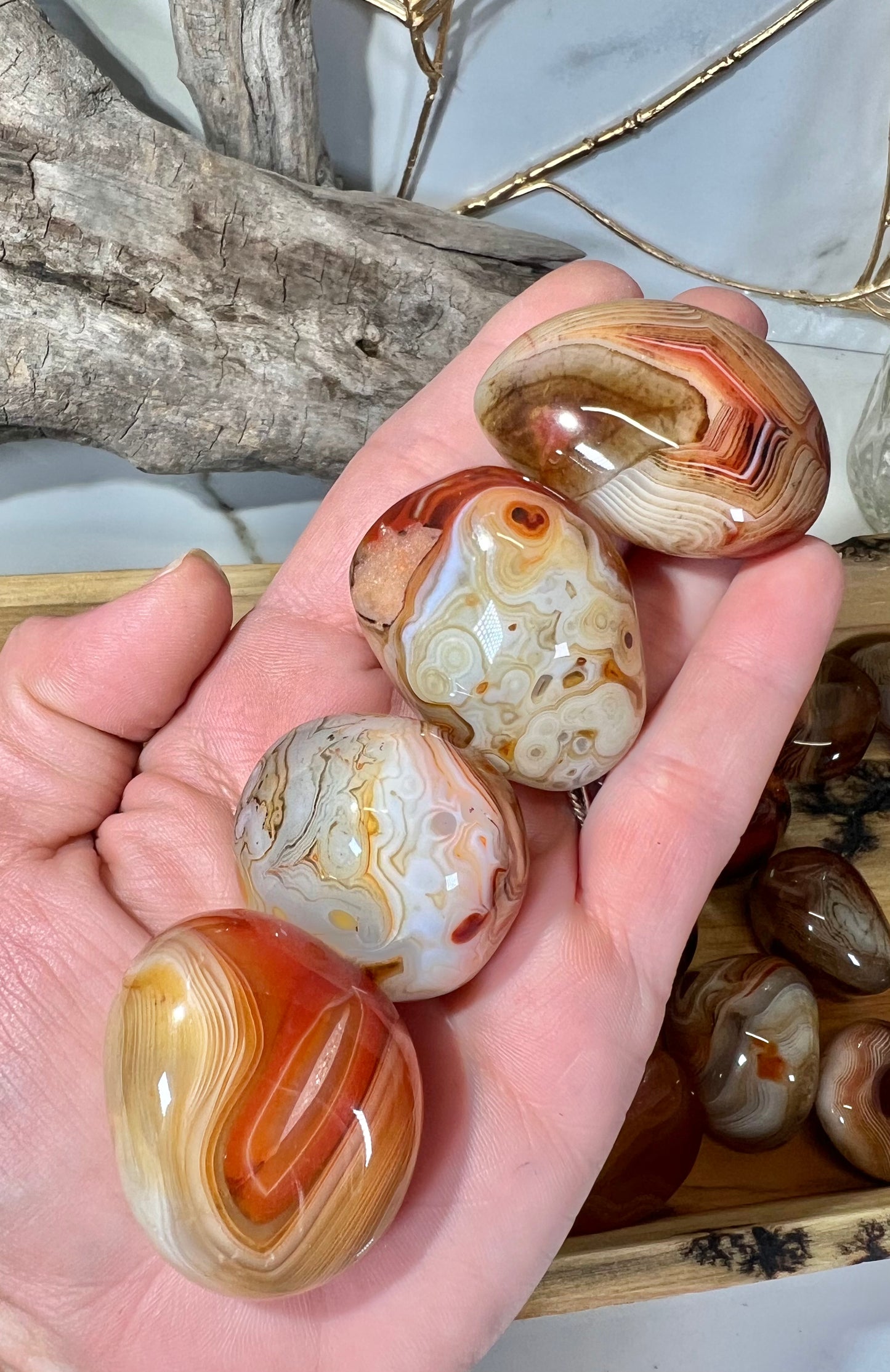 Gorgeous banded sardonyx tumble/palm MED