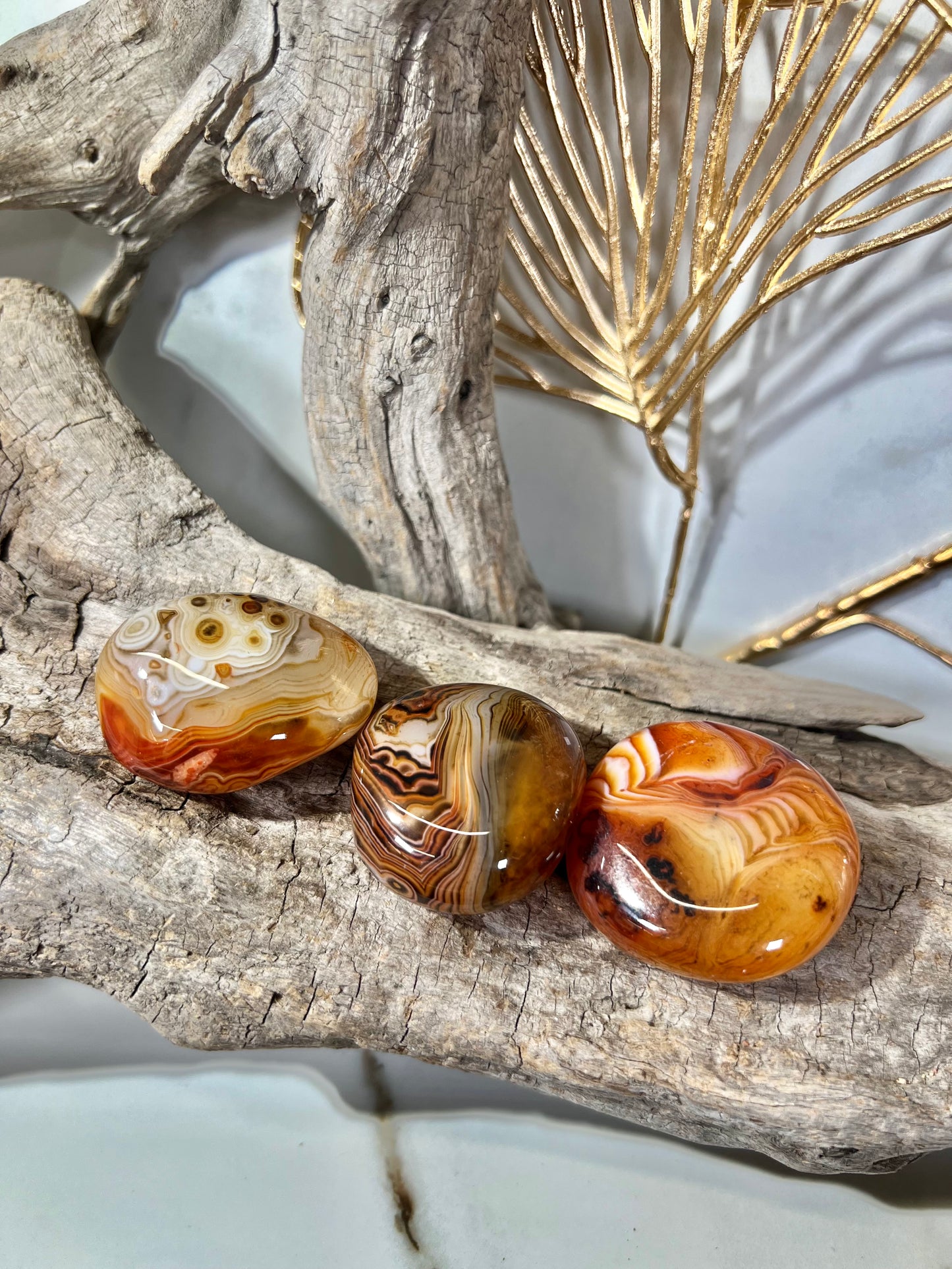 Gorgeous banded sardonyx tumble/palm MED
