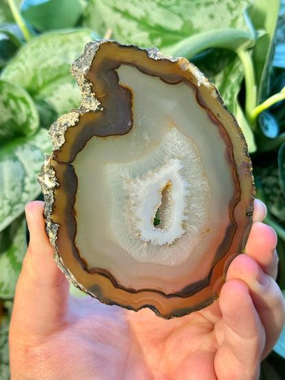 Beautiful agate coaster from Brazil D