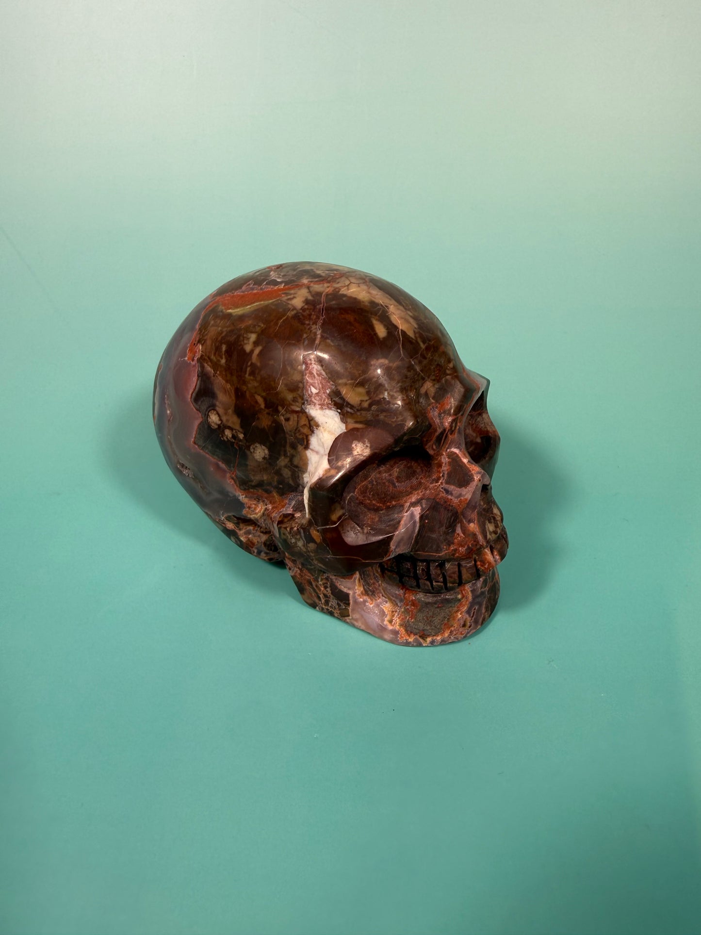Amazing Money agate skull