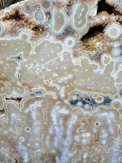 AAA yellow druzy orbicular ocean jasper slab from Madagascar