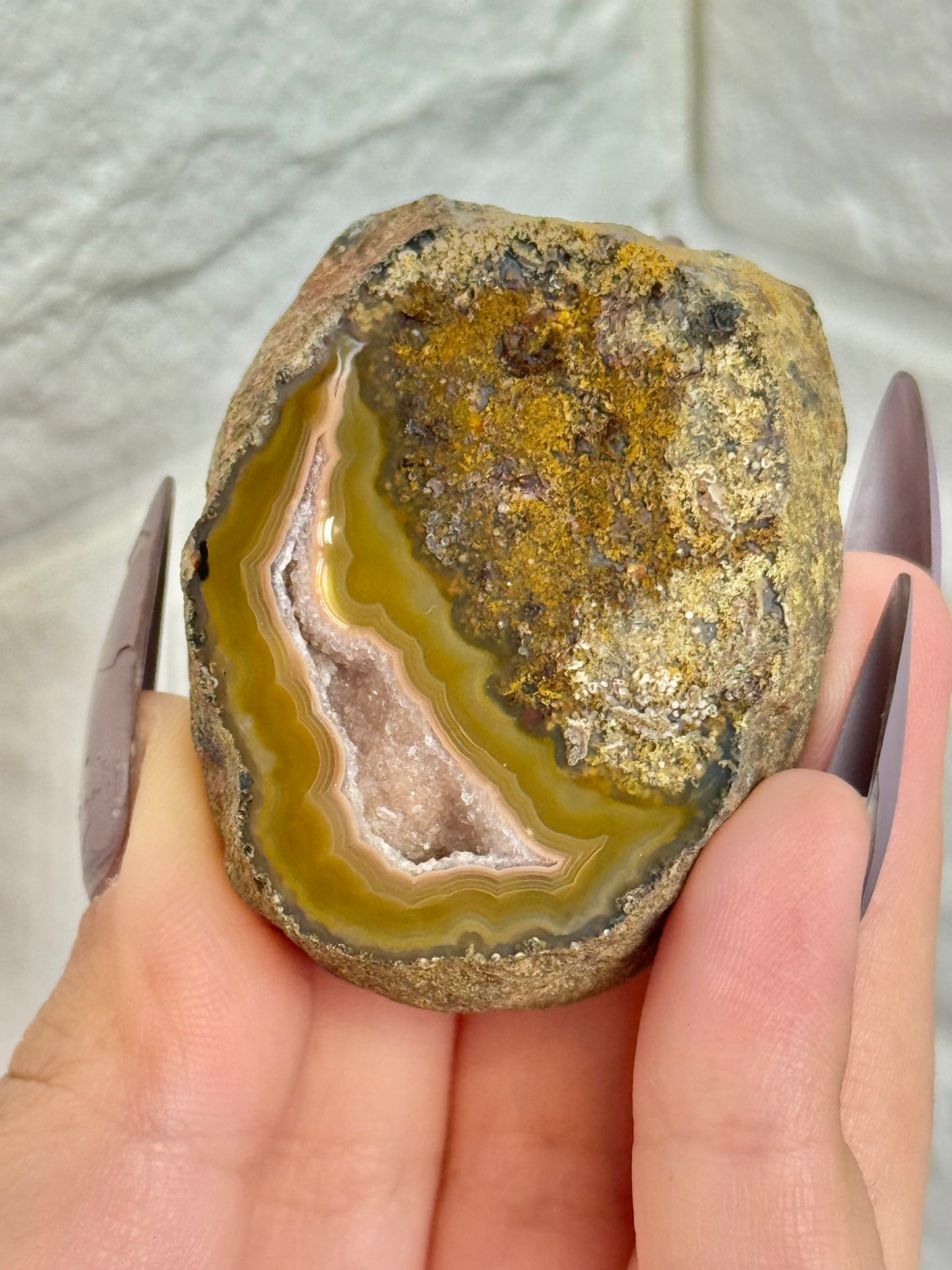 You pick! Beautiful fall toned Laguna agates from Chihuahua Mexico