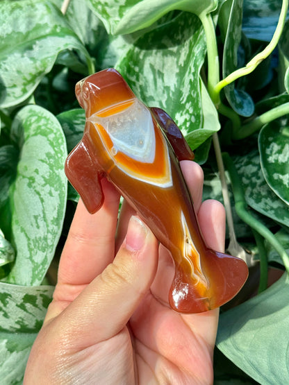 Heated carnelian manatee G