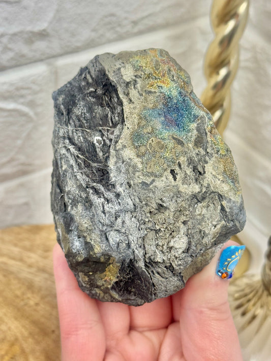 Rainbow marcasite included fossilized wood from Turkey H