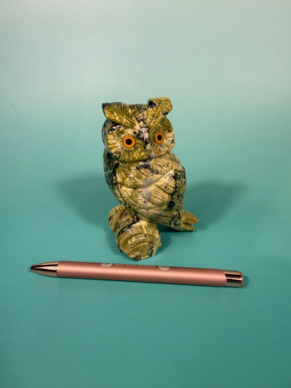 Peruvian serpentine owl