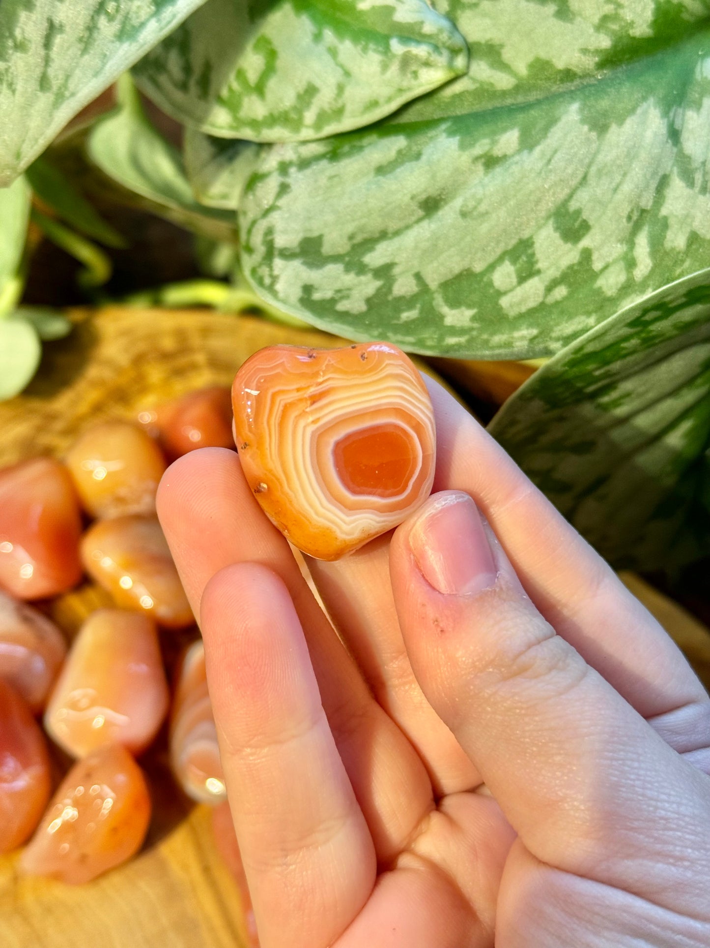 1 beautiful banded carnelian tumble