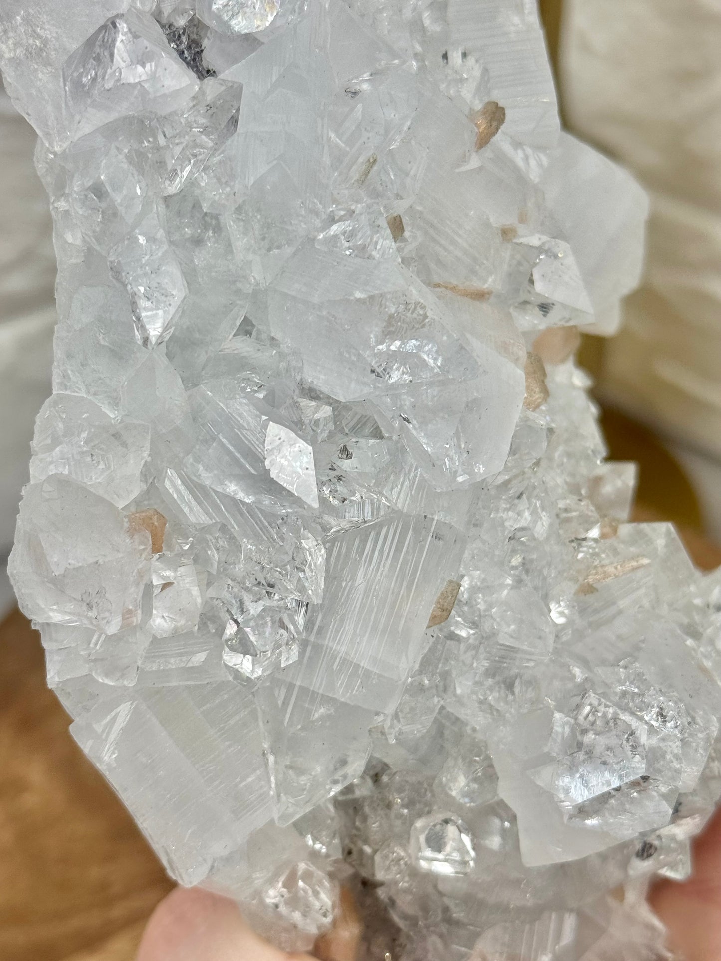 Amazing XL diamond apophyllite specimen from India