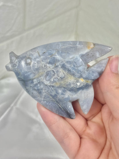 1 beautiful blue plume agate fish