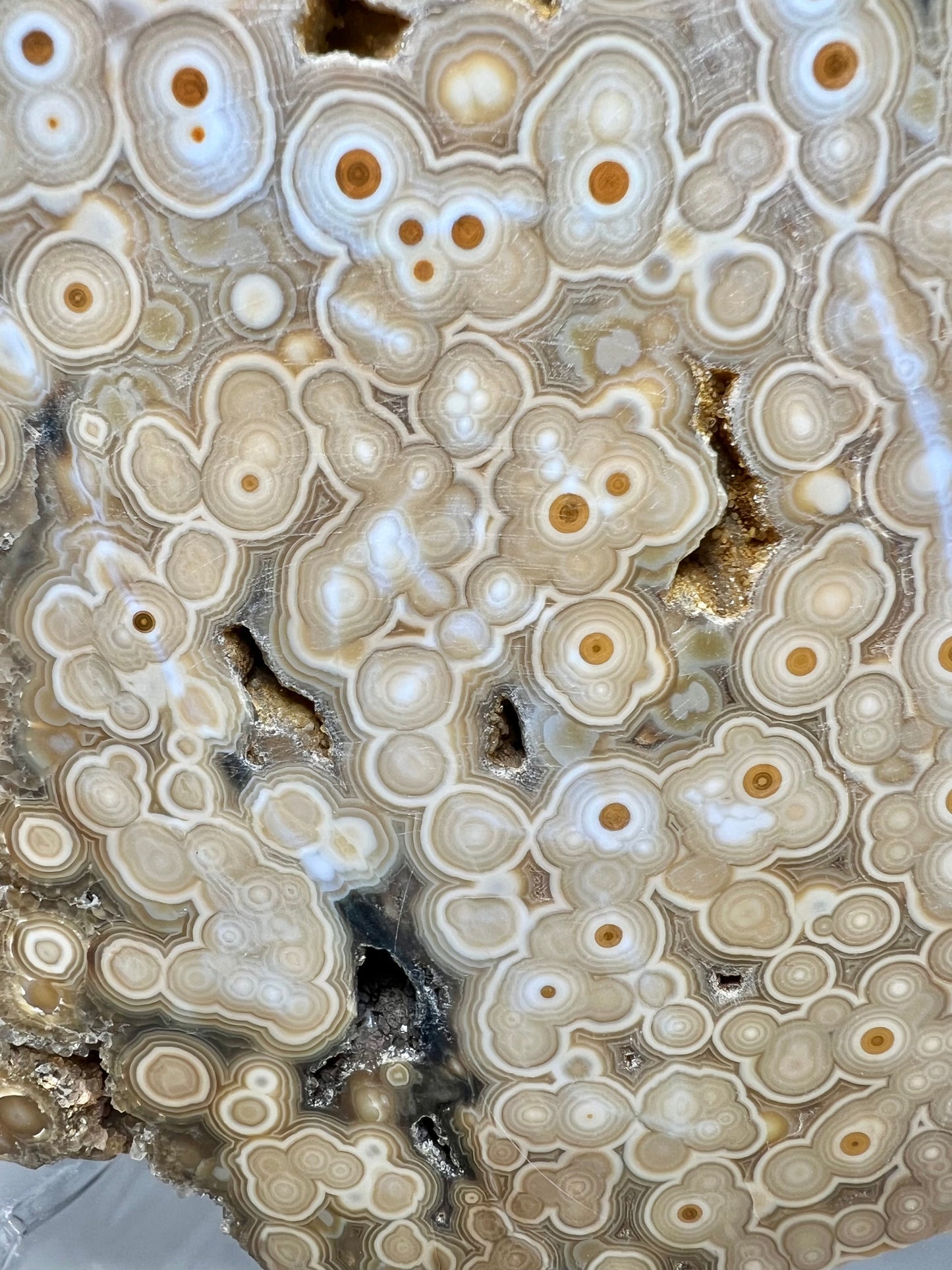 AAA yellow druzy orbicular ocean jasper slab from Madagascar