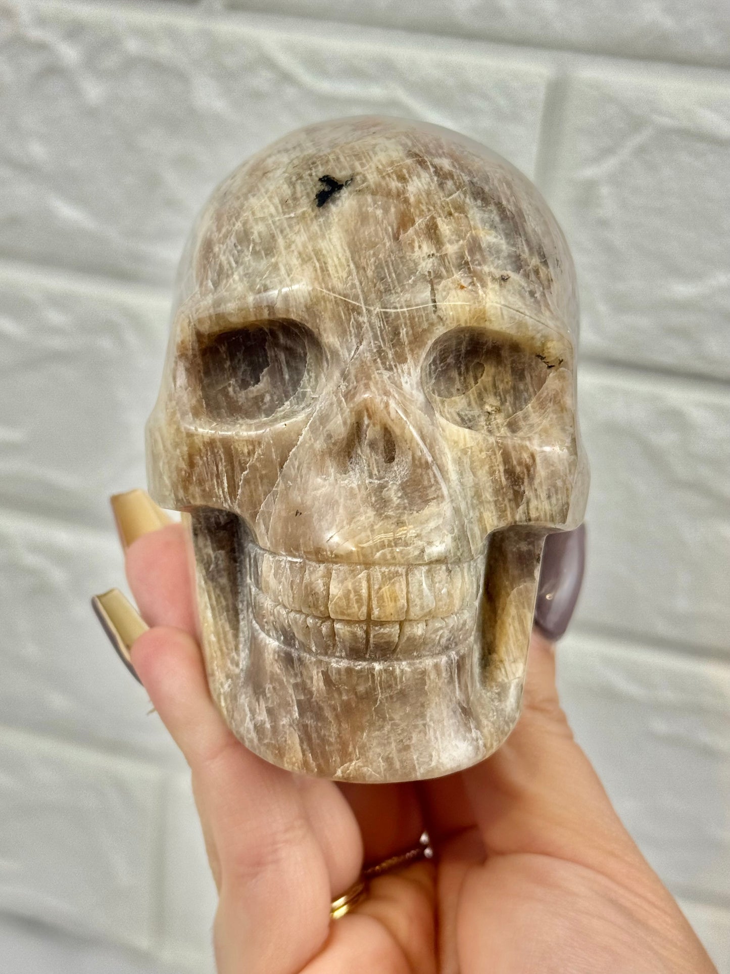 Flashy belomorite skull (moonstone x sunstone)