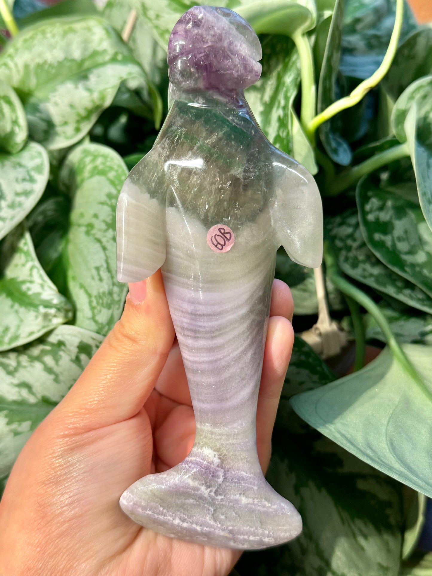 LG silky fluorite manatee B