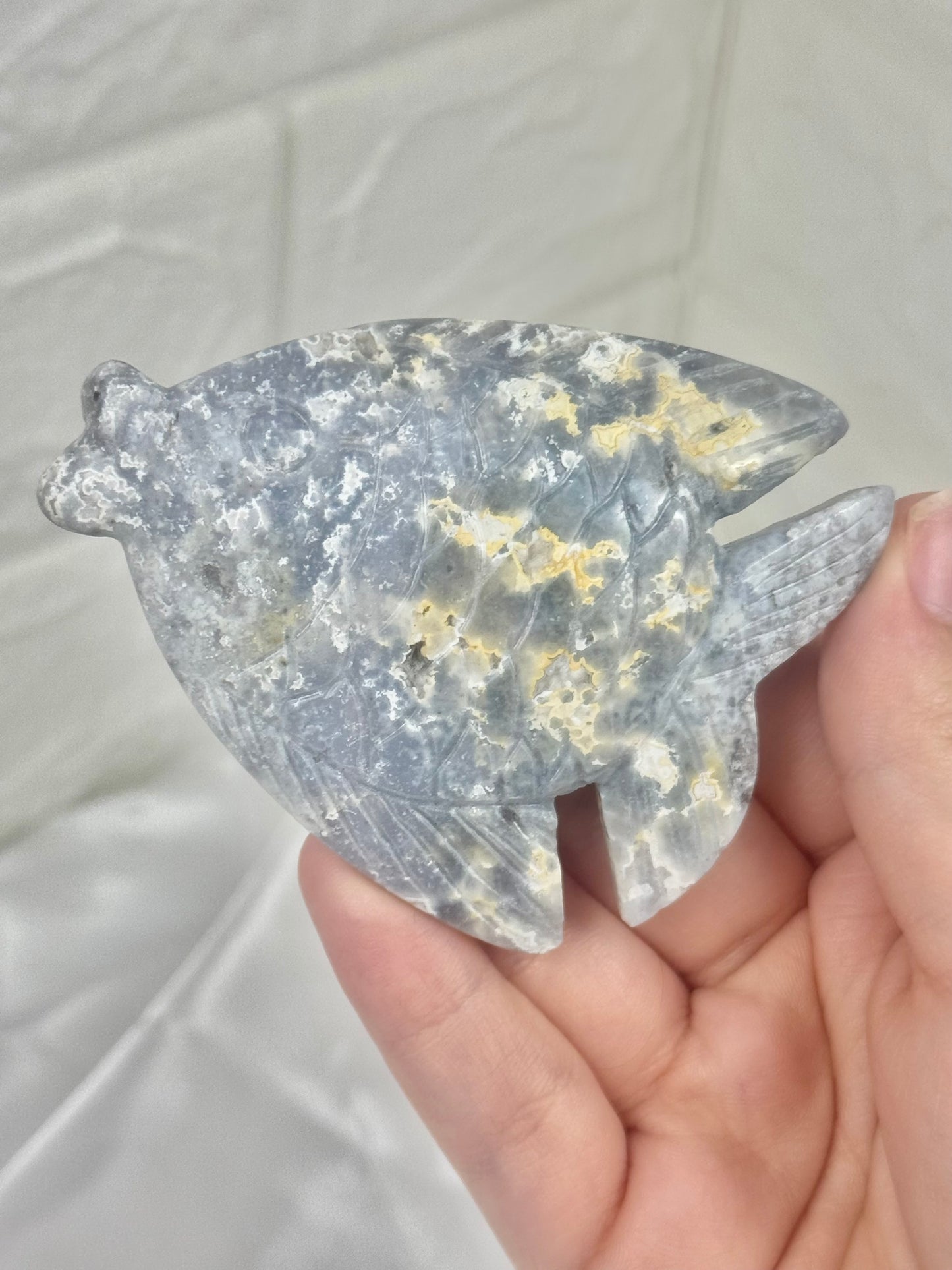 1 beautiful blue plume agate fish