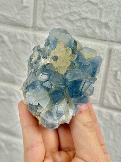You pick! Incredible high-grade Celestine specimens from Afghanistan
