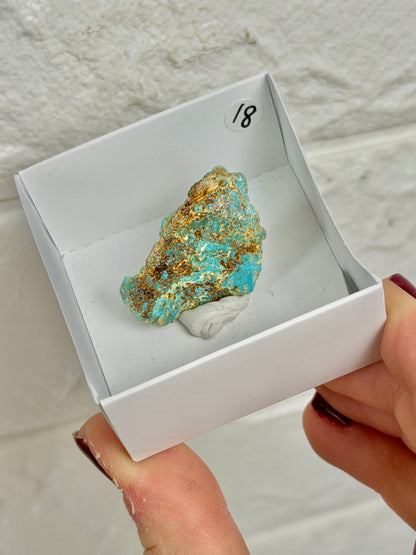 You pick! Turquoise from Arizona