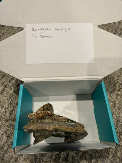 The_ginger_haired_girl