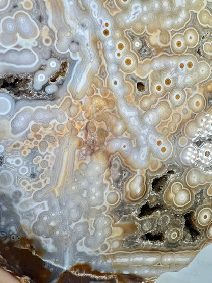 AAA yellow druzy orbicular ocean jasper slab from Madagascar