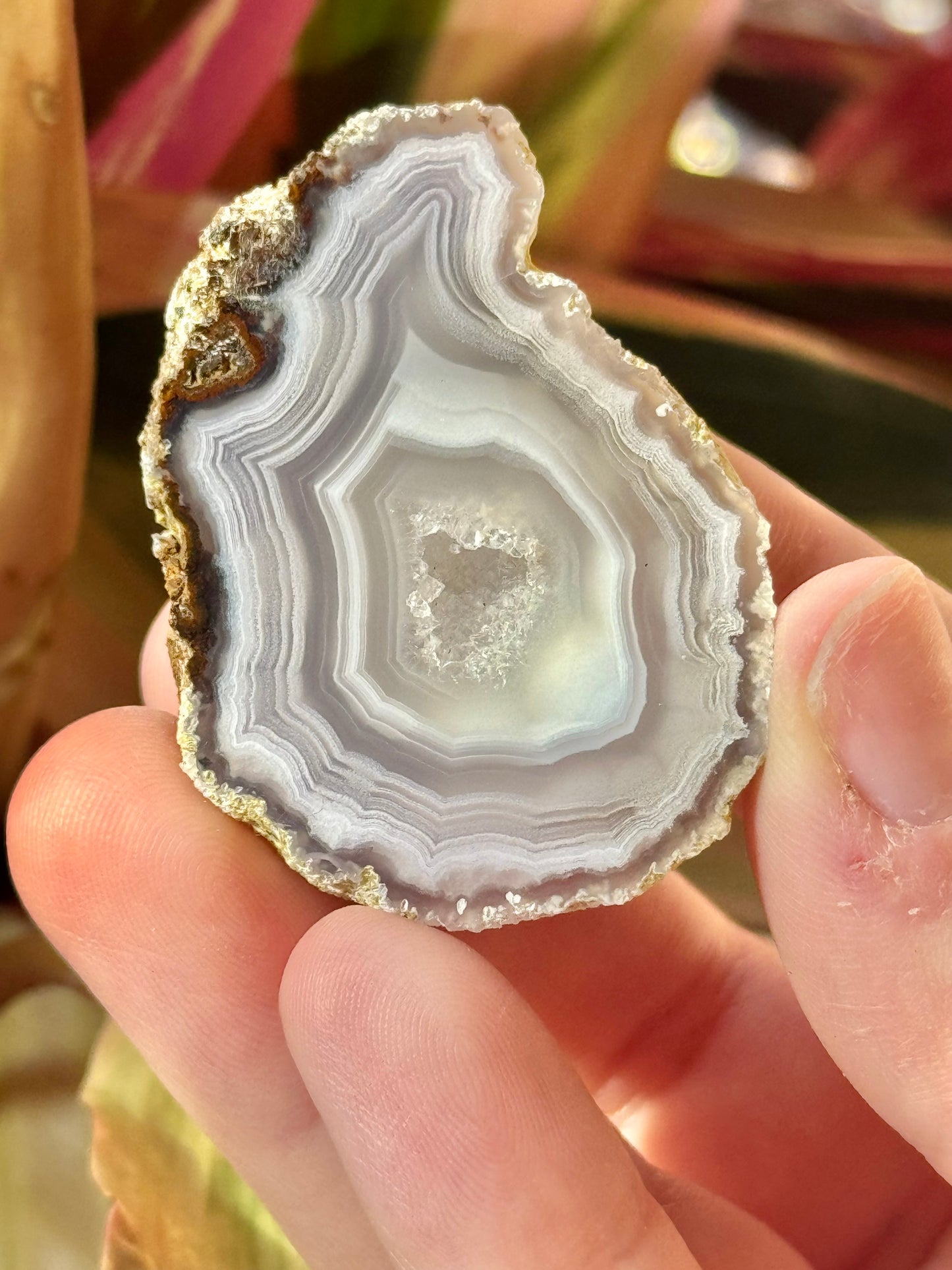 Druzy white/gray laguna agate RR