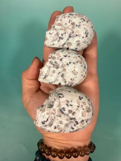 Kiwi jasper skull