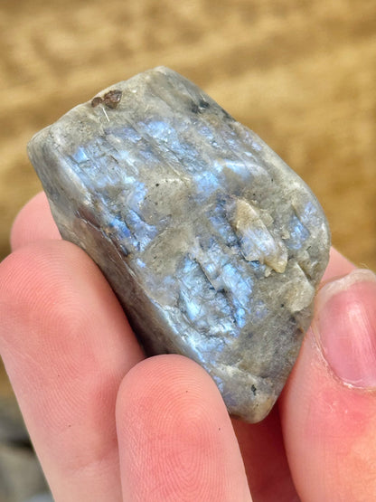 1 raw piece of blue moonstone from Wisconsin