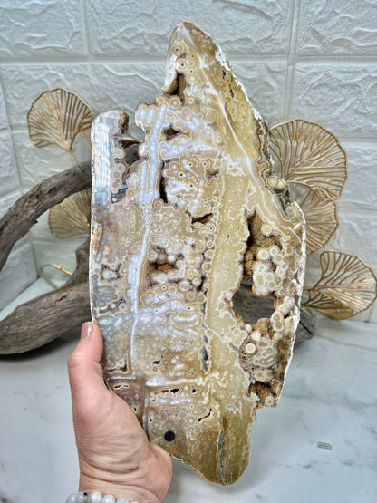 AAA yellow druzy orbicular ocean jasper slab from Madagascar