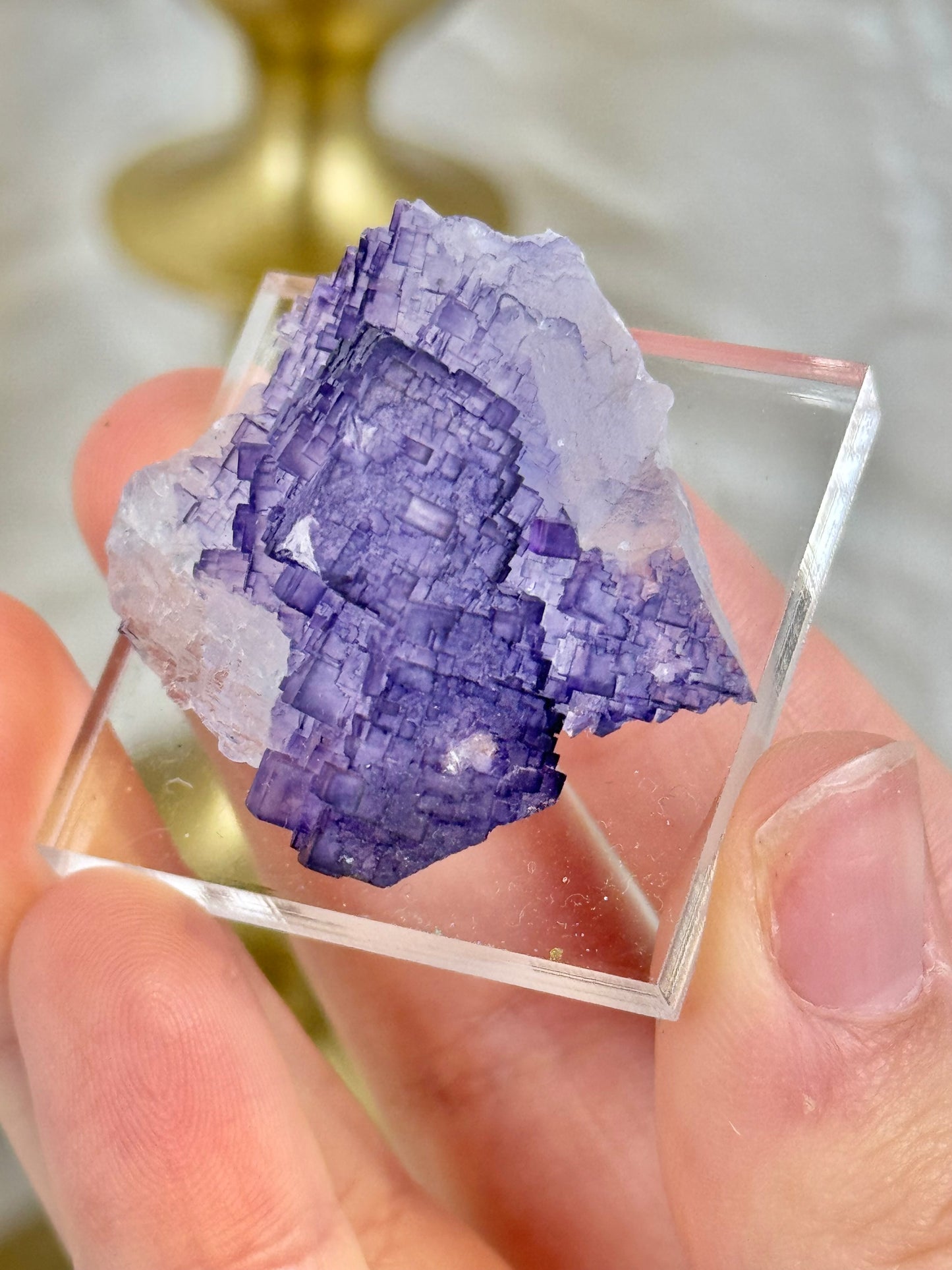 You pick! Deep purple fluorites from the Tule mine in Mexico