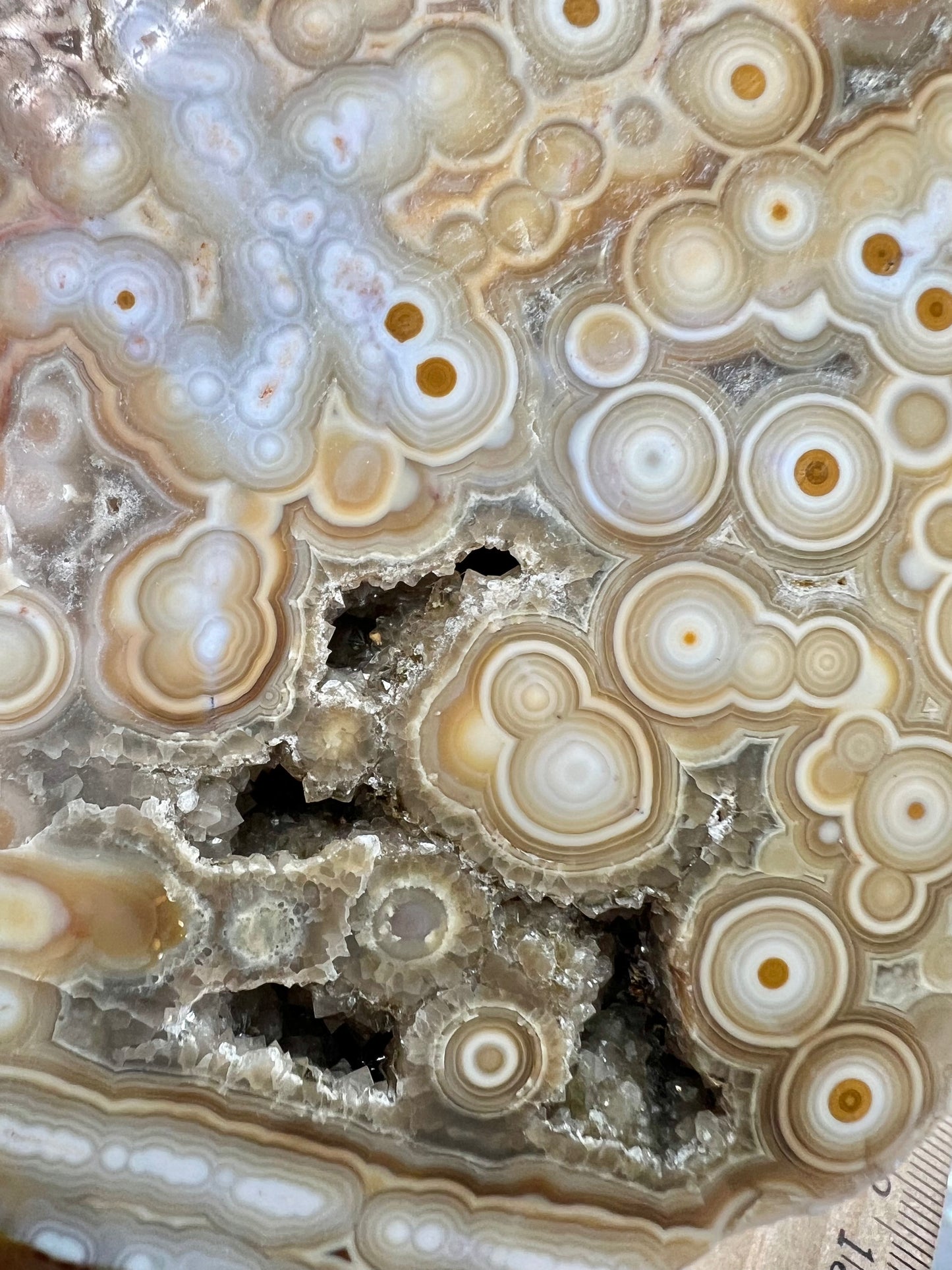 AAA yellow druzy orbicular ocean jasper slab from Madagascar