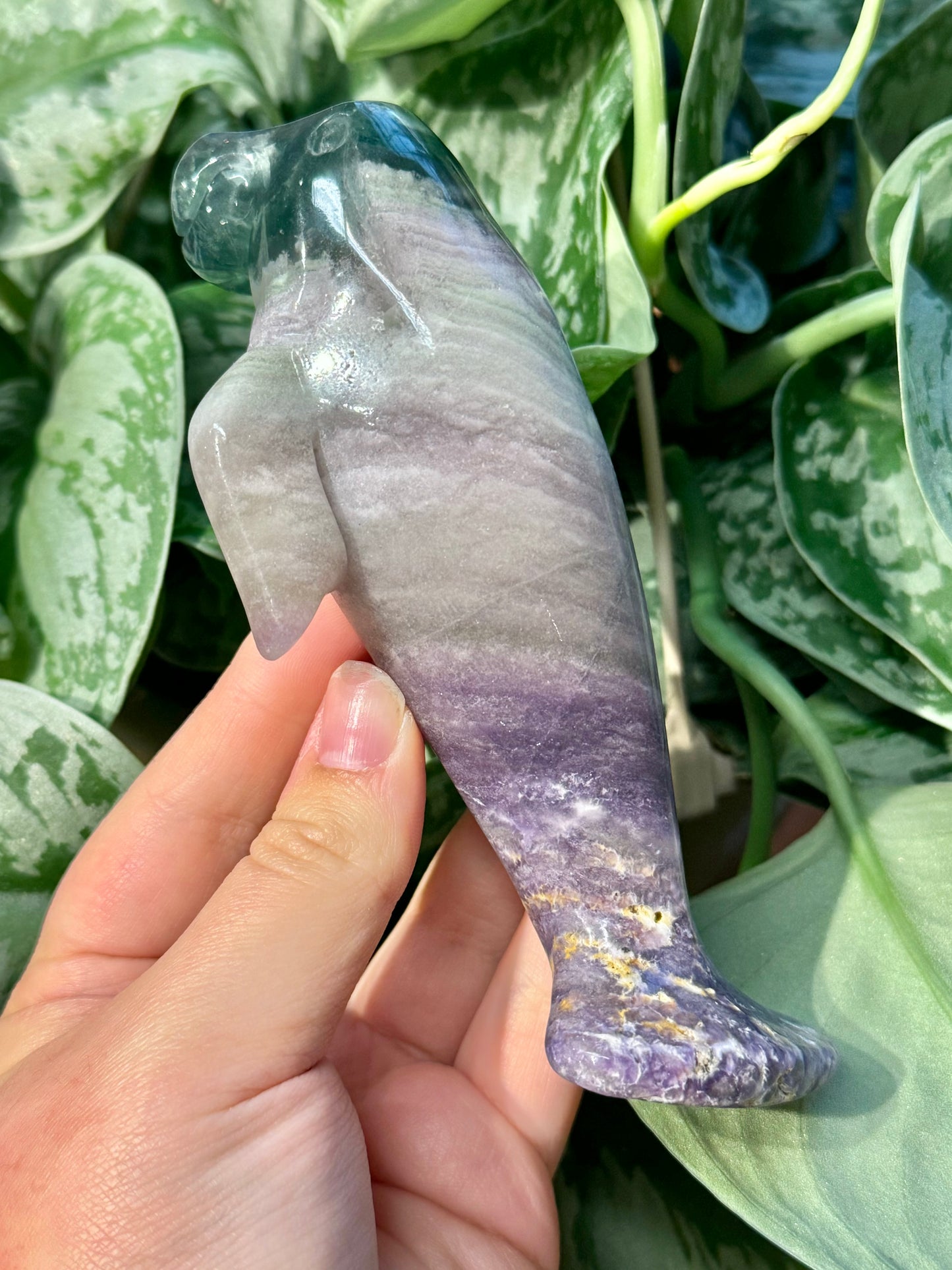 LG silky fluorite manatee C