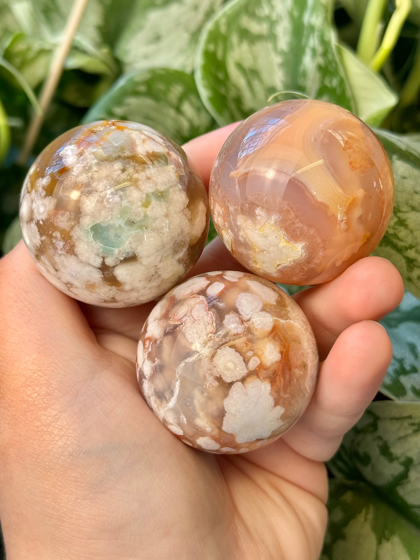 You pick! Stunning flower agate sphere