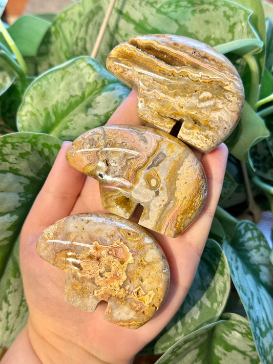 1 SM intuitive yellow crazy lace agate bear from Indonesia