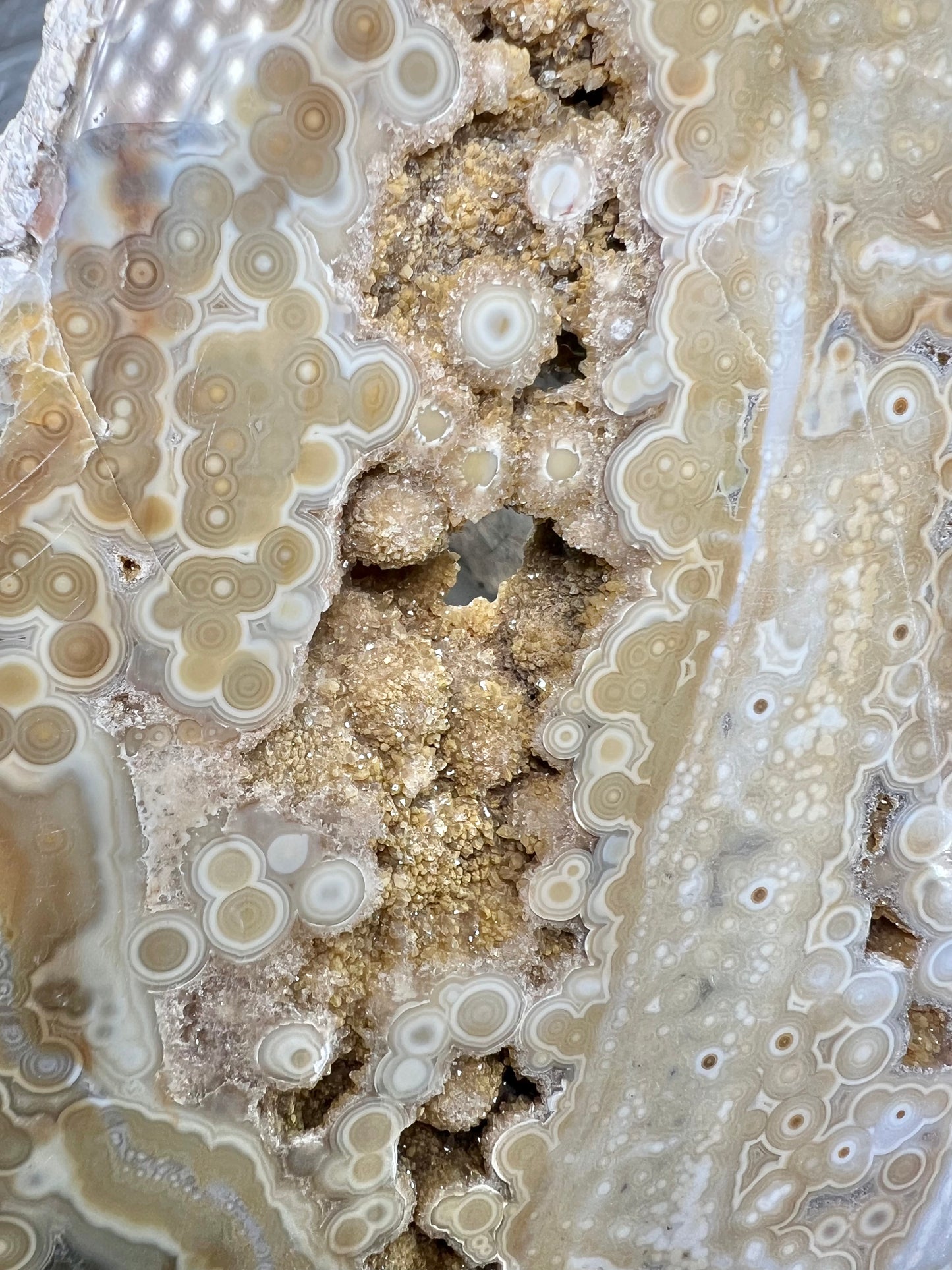 AAA yellow druzy orbicular ocean jasper slab from Madagascar