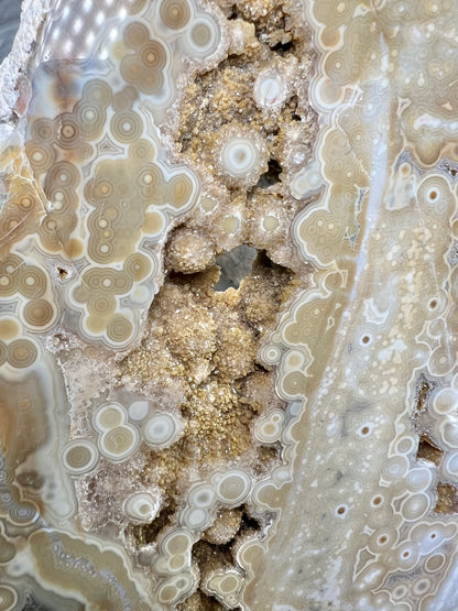 AAA yellow druzy orbicular ocean jasper slab from Madagascar