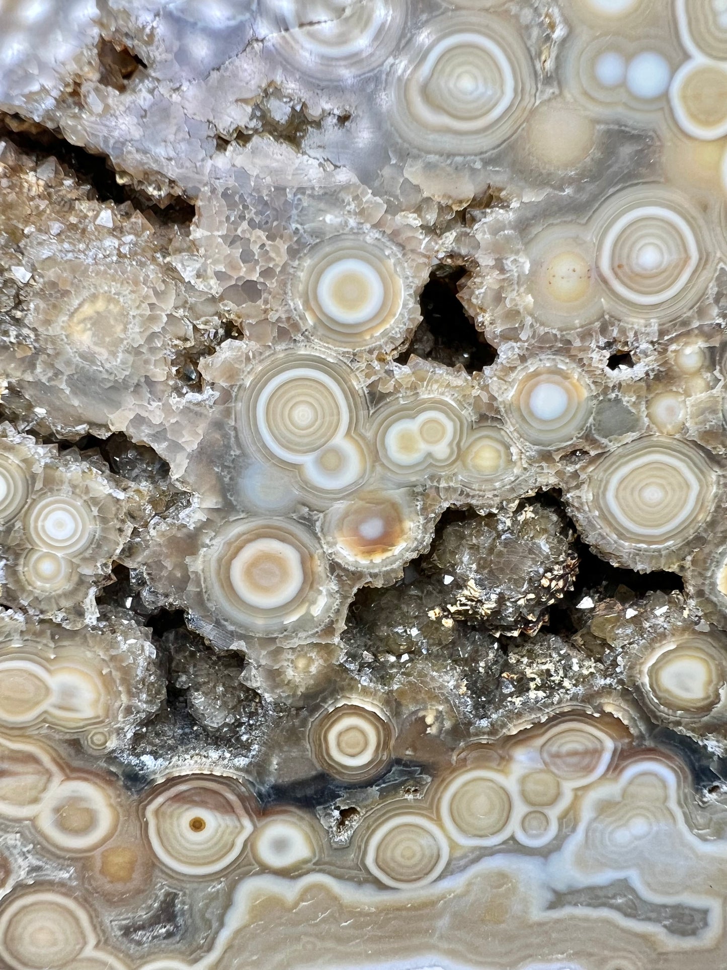 AAA yellow druzy orbicular ocean jasper slab from Madagascar