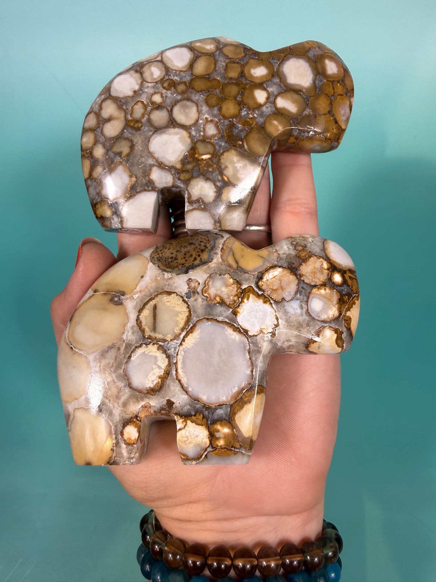 Cobra jasper buffalo